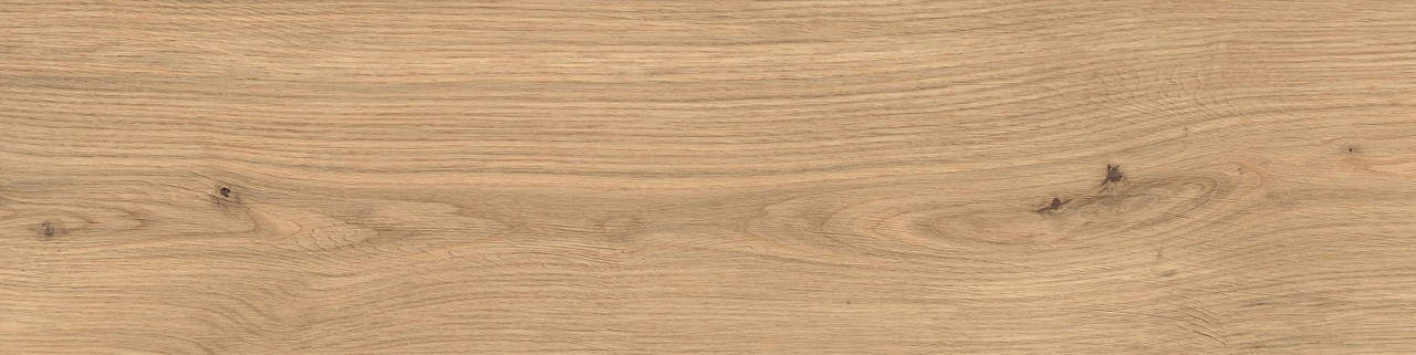 Atlas Concorde Log Icon Oak Forest 30x120 Outdoor Sensitech AX4A
