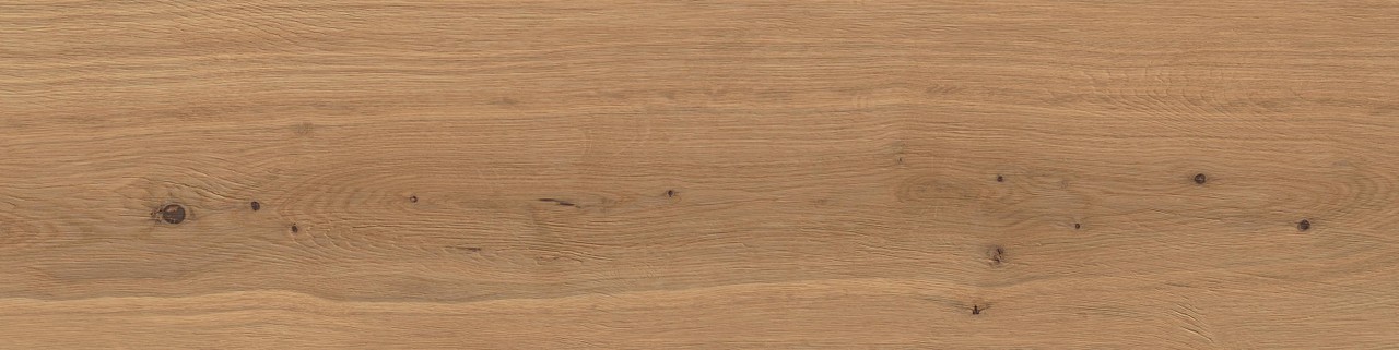 Atlas Concorde Log Deep Oak Forest 30x120 Outdoor Sensitech AX4D