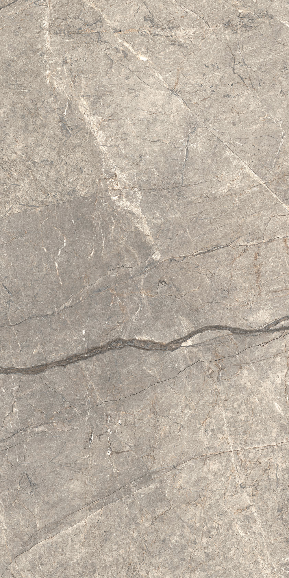 Ceramiche Caesar Anima Futura Amazing Silver 60x120 Lucidato RT